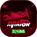 bn55 Premium Edition v2.8.2
