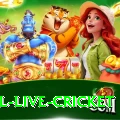 bpl live cricket King Jackpot