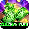 brendon mccullum Turbo - Win Real PKR