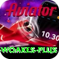 chris woakes Pakistan Mega v3.8.8