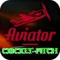 cricket pitch Pro PK v5.4.9