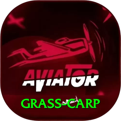 grass carp Deluxe APK v2.5.2 - 2