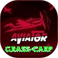 grass carp Deluxe APK v2.5.2