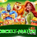 india cricket match Gaming Deluxe v3.9.4