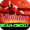 india pakistan cricket Pakistan Turbo v4.9.0