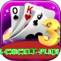 india pakistan cricket Deluxe - Free Download