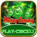 play cricket Gold Casino App
