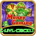 smartcric live cricket Deluxe Pakistan