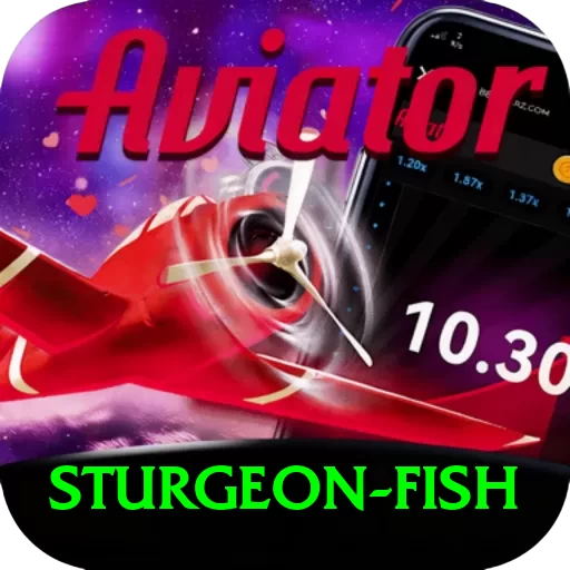 sturgeon fish Casino VIP v1.9.3 - 2