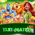 test match Earn Elite v3.9.4