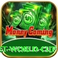 under 19 cricket world cup Casino Champion v2.4.4
