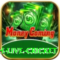 watch live cricket King Jackpot