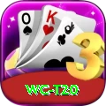 wc t20 Bonus Plus v3.0.7